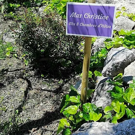 Christiane Terrasse Tropézienne Buis-les-Baronnies
